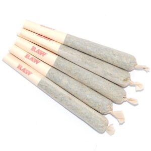 Buy 10 Gorilla Glue Pre-Rolled Joints in Maldives